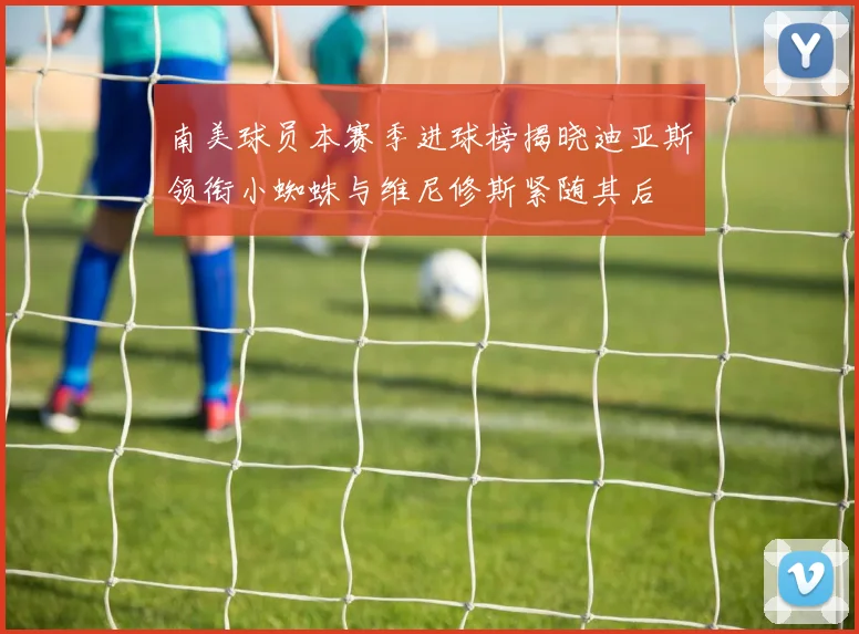 南美球员本赛季进球榜揭晓迪亚斯领衔小蜘蛛与维尼修斯紧随其后