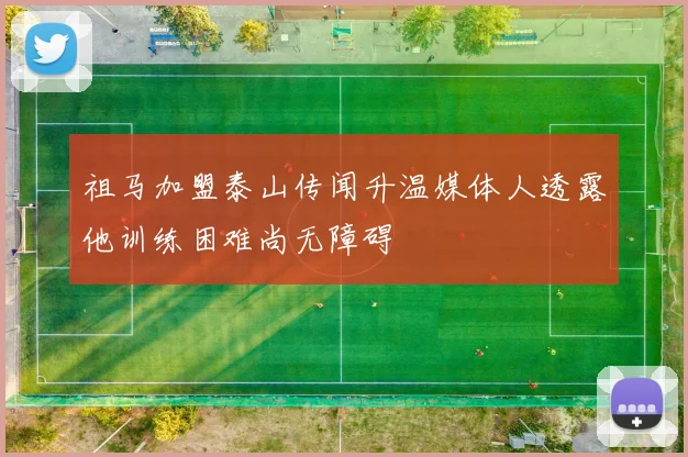 祖马加盟泰山传闻升温媒体人透露他训练困难尚无障碍