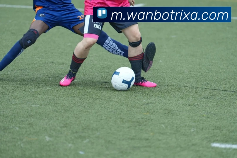 布泽尔之子表现抢眼8投14罚砍下24分13篮板半场独得20分助队争胜